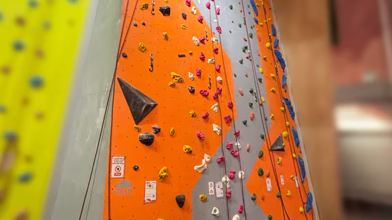 The Ladder