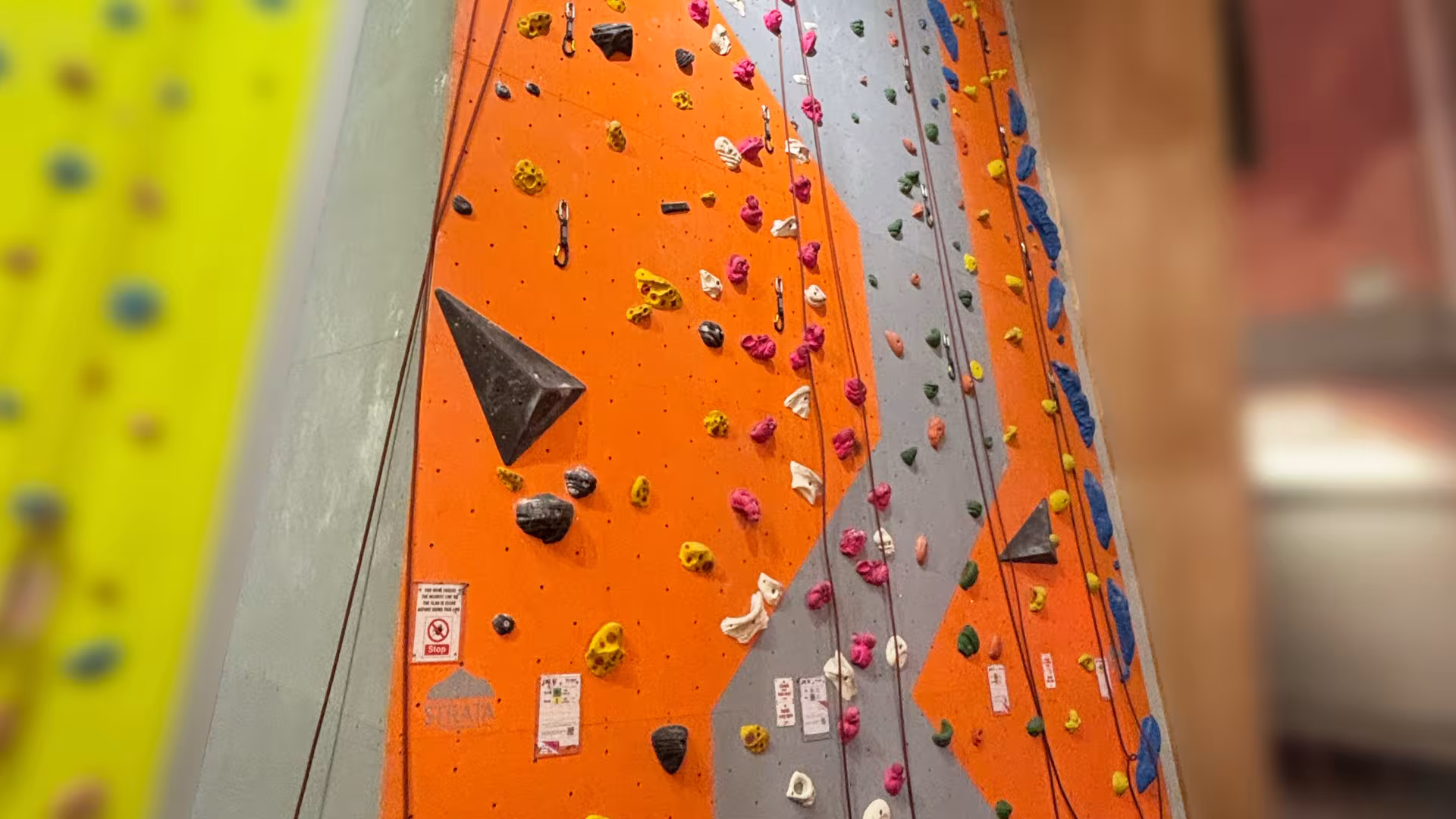 The Ladder